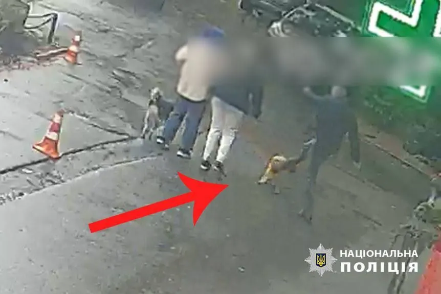 in-kyiv-a-man-kicked-a-poodle-in-the-head-with-all-his-might-was-suspected-police