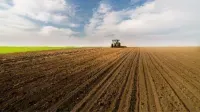 Ukraine has already sown 3.8 million hectares of winter crops