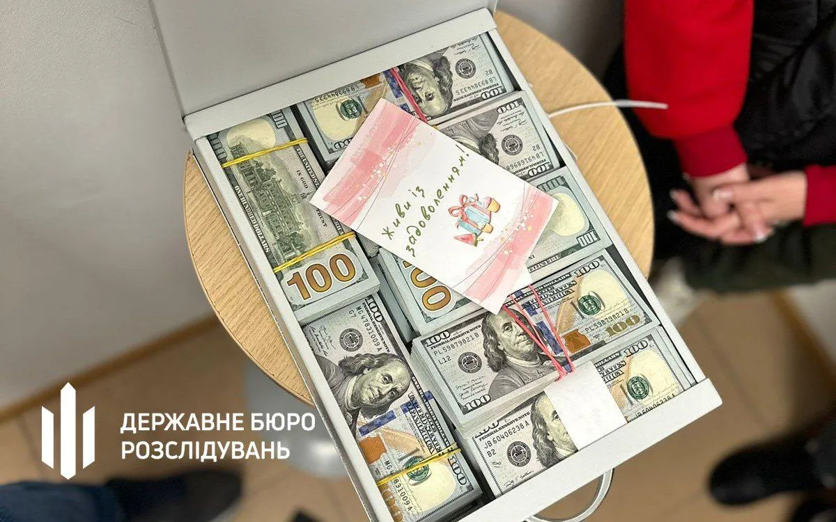 У депутатки Хмельницької міськради знайшли 1,5 млн дол., її затримали - ДБР