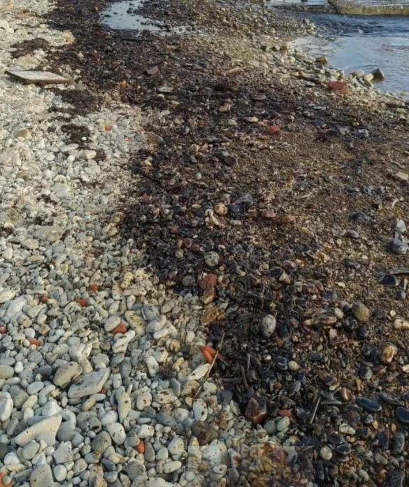 Oil products spilled in the Black Sea near the Krasnodar region of Russia over an area of 700 square meters