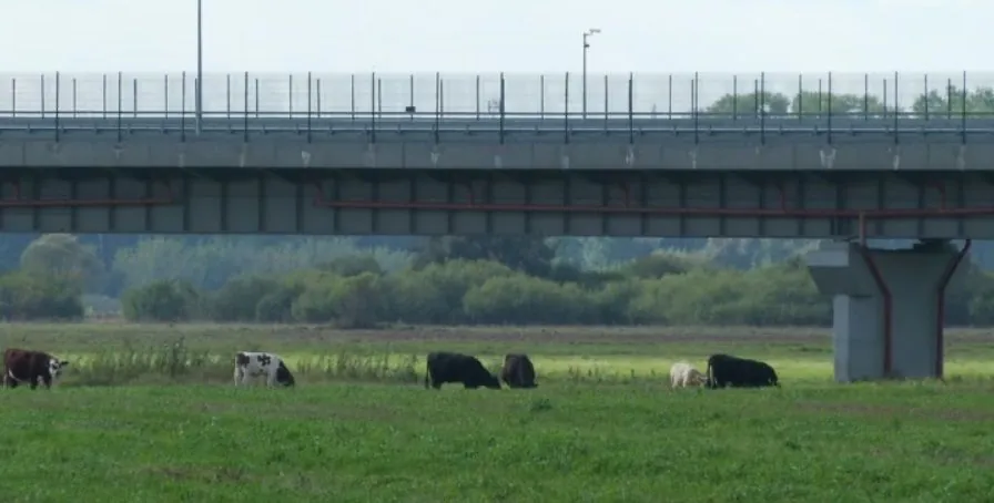 lithuania-is-building-fortifications-on-the-border-with-russia-defense-ministry-shows-footage