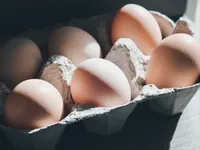 Romania imposes additional restrictions on imports of eggs and poultry meat from Ukraine