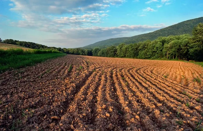 The Government supported the draft law on the introduction of an electronic system in the land sector - Ministry of Agrarian Policy