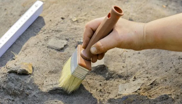 too-advanced-for-the-time-5000-year-old-building-technology-found-under-a-neolithic-house-in-denmark