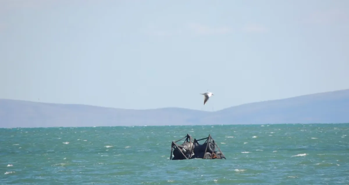 The barriers used by Russia to cover the Kerch Bridge were washed up on the shores of Kerch