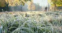 Weather forecasters warned of frost in Kyiv region: when to expect weather deterioration