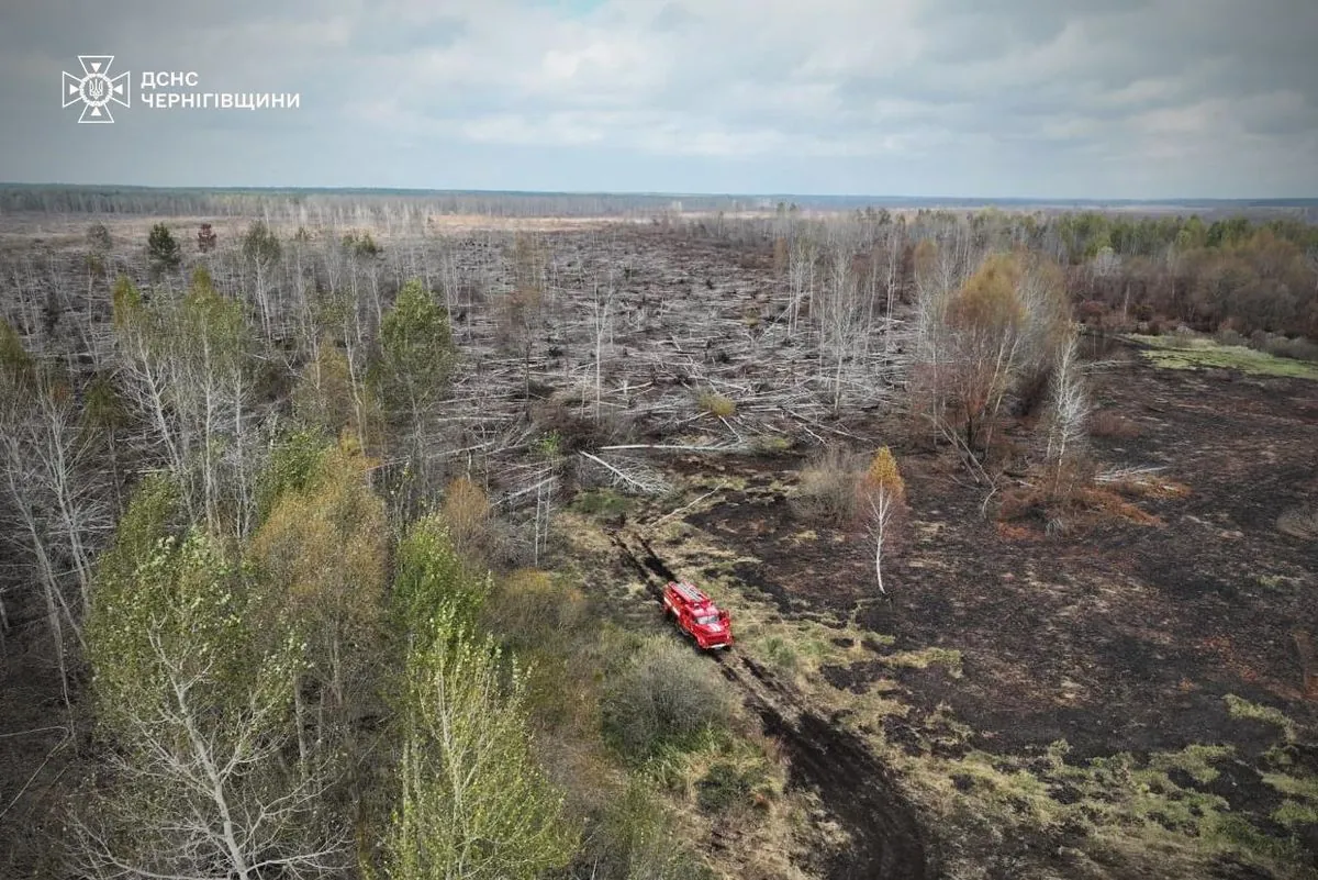 Fire in Chernihiv district lasts almost a month: peatlands burn