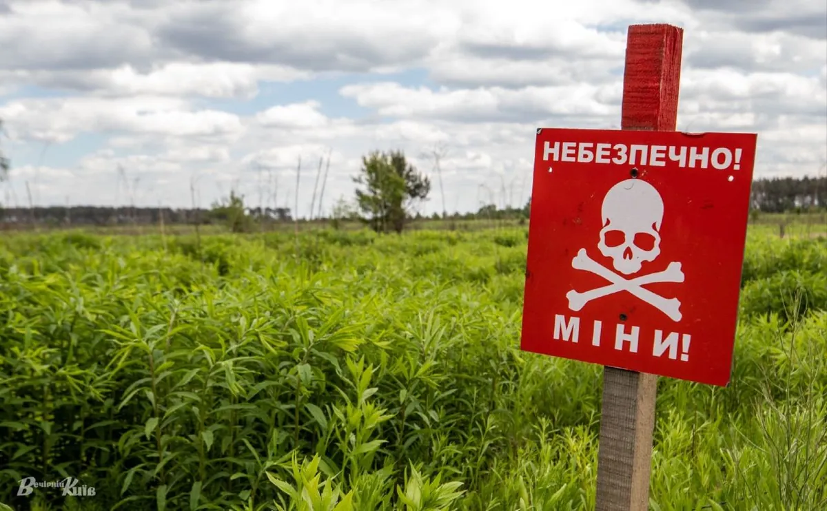 Ministry of Economy names the best innovative options for financing demining in Ukraine