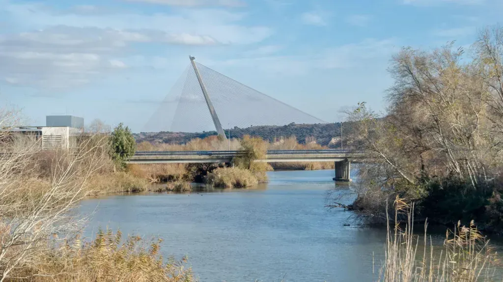 a-british-man-filming-a-video-for-social-media-falls-off-a-bridge-and-dies-in-spain