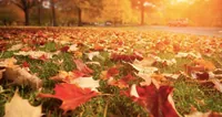 From October 22, the temperature will become more comfortable: the Ukrainian Weather Center told when to expect warming