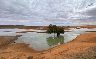 Floods in the Moroccan desert revived a lake that had been dry for 50 years: the place is of great ecological importance - photos