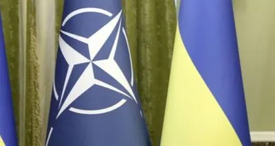 Ukraine must restore its sovereignty before joining NATO - NATO PA President Connolly