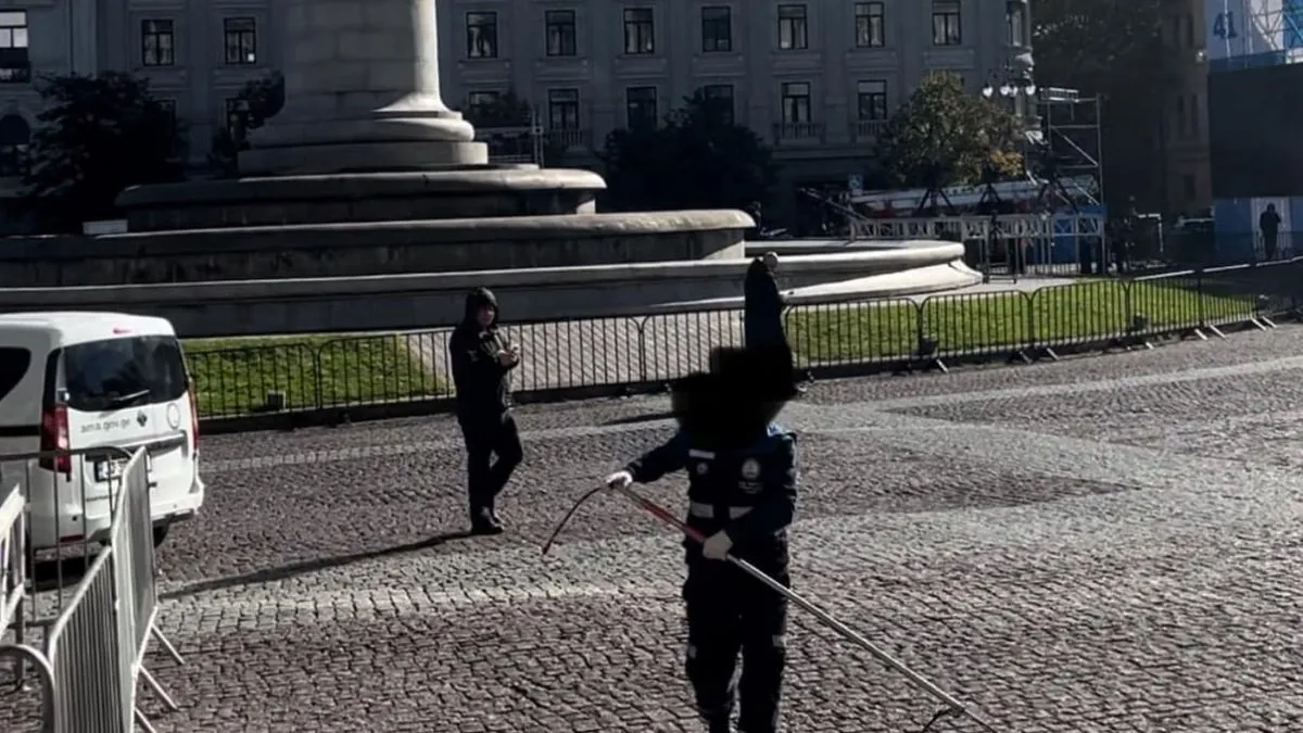 Street dogs disappear in Tbilisi before rally of ruling Georgian Dream party