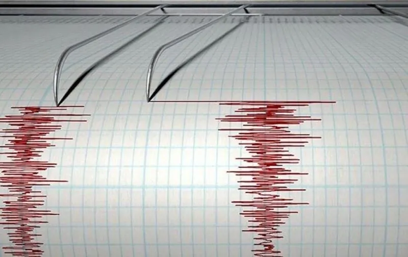 В Черновицкой области зафиксировали землетрясение магнитудой 3,1