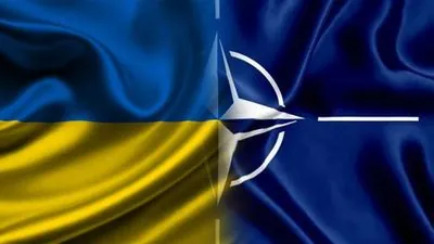 Seven countries oppose Ukraine's NATO invitation - Politico