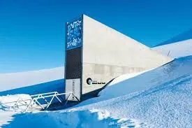 doomsday-seed-vault-in-the-arctic-receives-30000-new-samples-for-storage