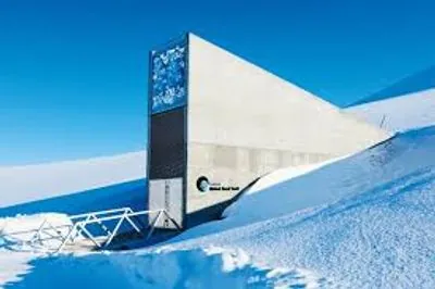 Doomsday Seed Vault in the Arctic receives 30,000 new samples for storage