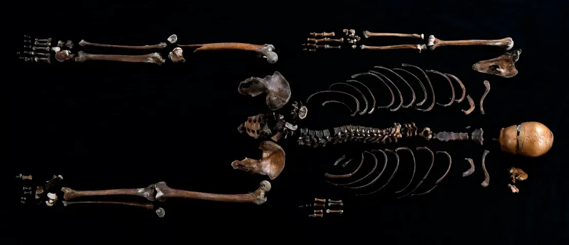 skeleton-from-the-castles-well-confirms-the-veracity-of-the-800-year-old-norwegian-saga