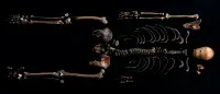 Skeleton from the castle's well confirms the veracity of the 800-year-old Norwegian saga