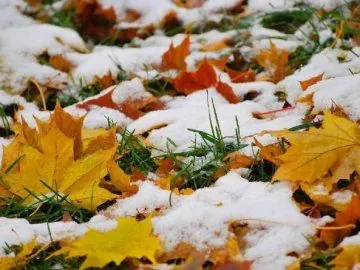 First snow in Ukraine: when to expect a sharp cold snap and weather changes