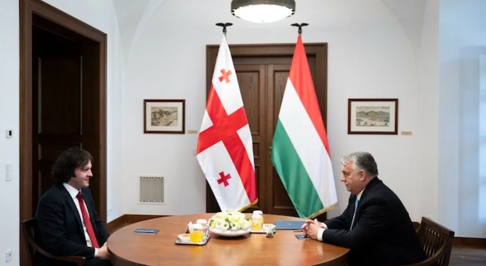 orban-travels-to-georgia-after-disputed-election-criticized-by-eu