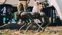 How a robot dog ran in Kyiv to support the military: a report from the Run4Victory race