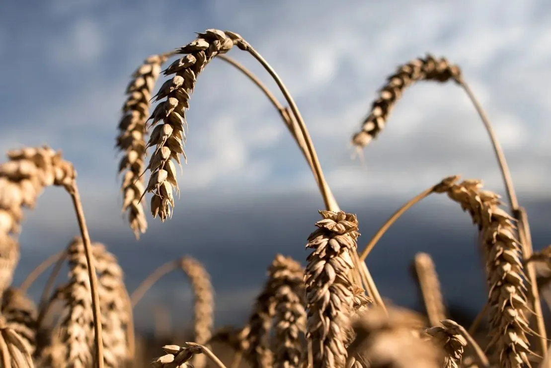 la-nina-could-cause-severe-drought-in-the-us-plains-during-the-winter-months