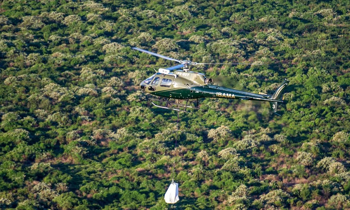 Researcher accidentally finds lost city in the jungle of Mexico