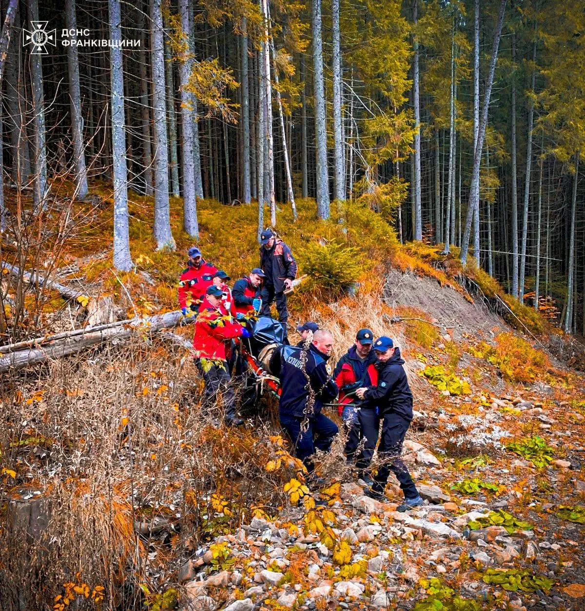 A tragic mushroom hike: lost in the woods in Prykarpattia