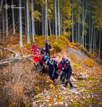 A tragic mushroom hike: lost in the woods in Prykarpattia