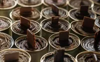 Occupants force Luhansk schoolchildren to make trench candles for Russian army - National Resistance Center