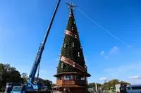 Two months before Christmas: the first festive tree is set up in Germany