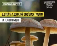 Mass mushroom poisoning in Ternopil region: 8 children among the victims