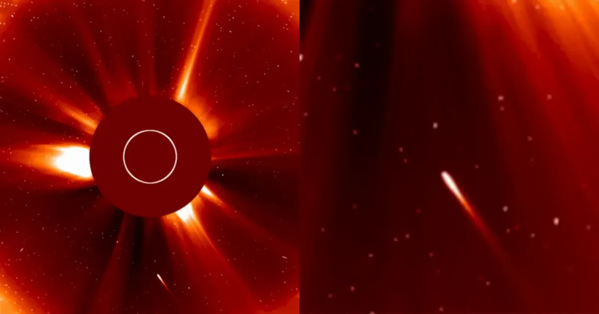 “Halloween” comet burned up while flying towards the Sun: video of the last moments appeared