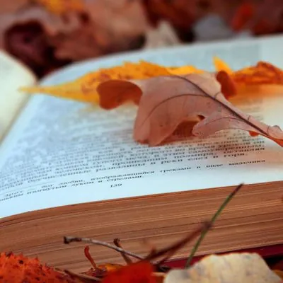 12 books to read this fall