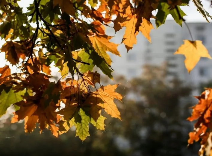 Weather in Ukraine: where it will be warmest on November 3 and what to expect in the regions