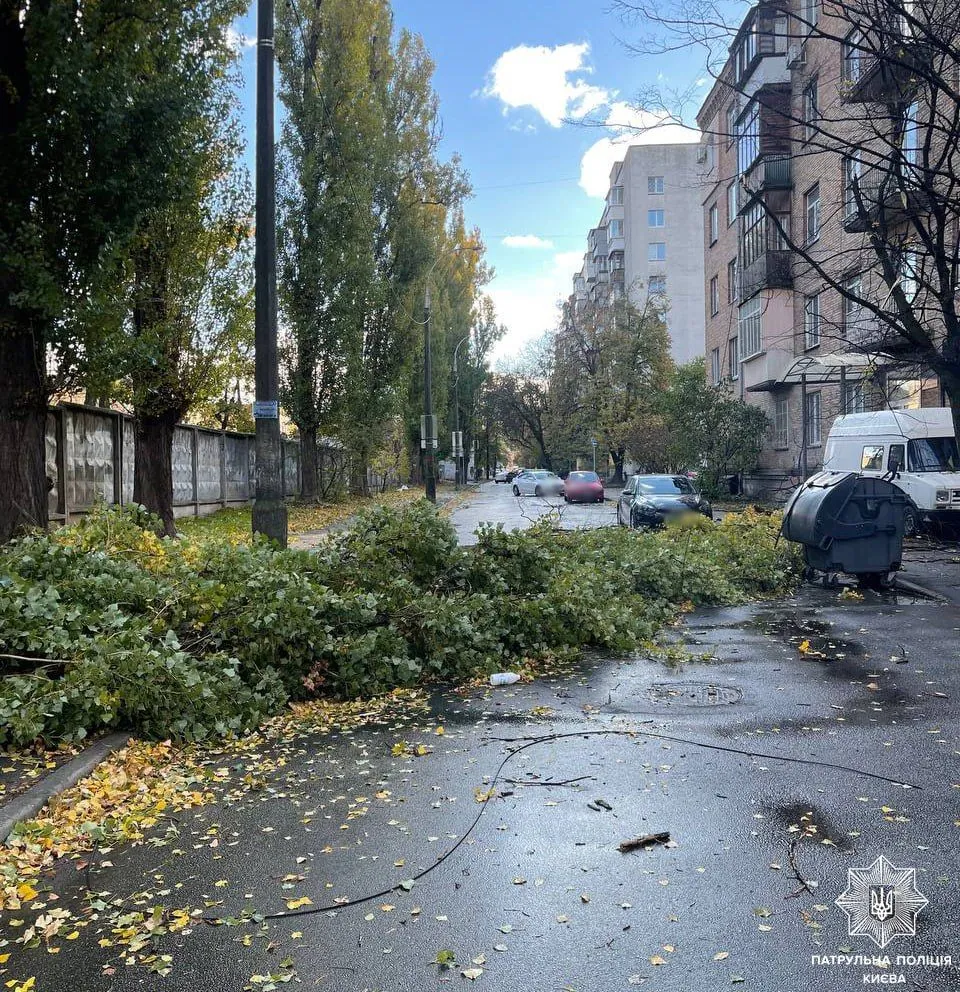 In Kyiv wind tears off roofs and falls trees: patrol policemen give some advice