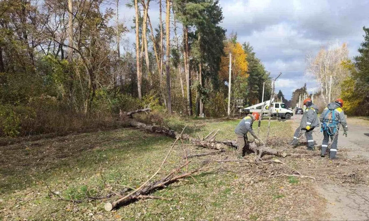 In Kyiv region, 34 settlements are without electricity and 8 cars are damaged due to bad weather