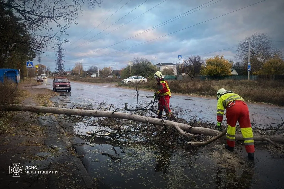 Bad weather in Ukraine left hundreds of settlements without electricity: the consequences