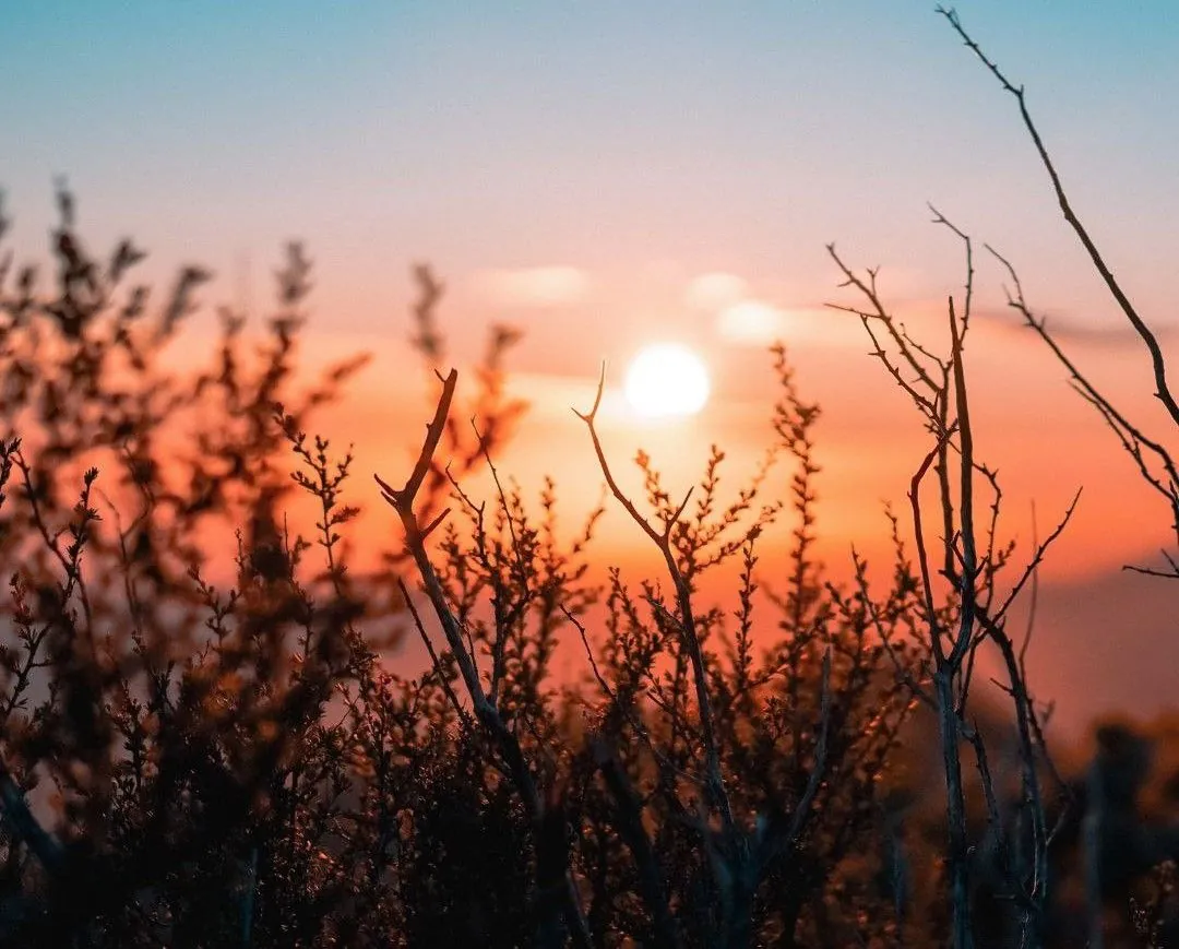 Frost was recorded in Kyiv for the first time this fall