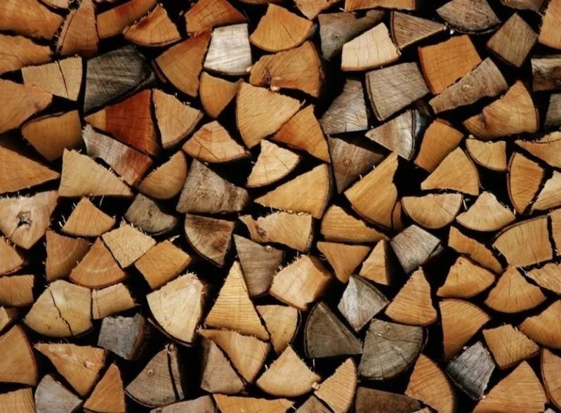 Fines for firewood: the NPDEP clarifies under what conditions there will be no liability for storage