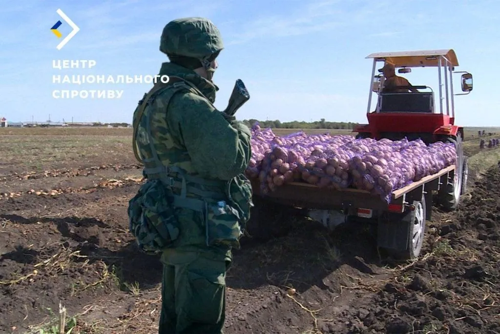 Occupants create a new mechanism for confiscating crops from Kherson farmers - Resistance