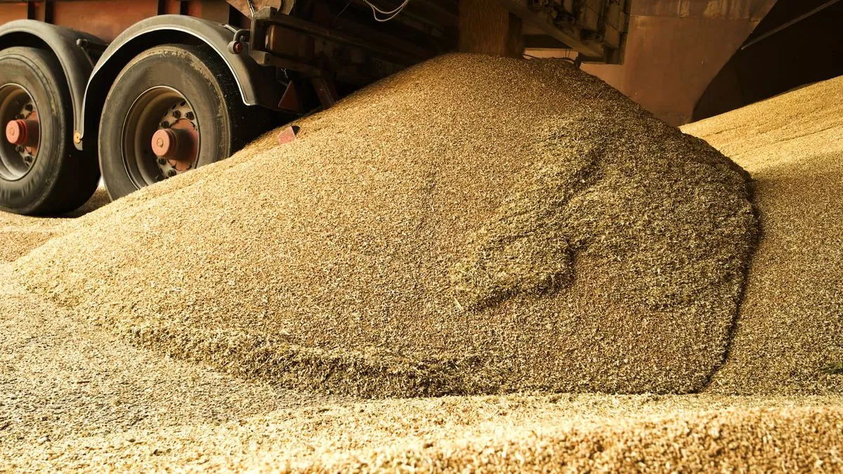 Ukrainian farmers harvested 71.4 million tons of grains and oilseeds