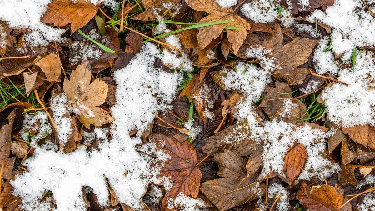 Weather in Ukraine: when to expect sleet and frost