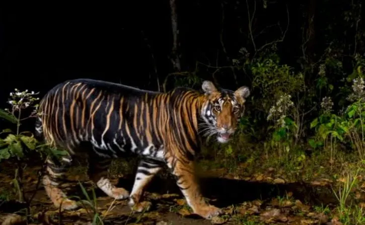 National Geographic представив 20 найкращих фотографій у світі  