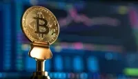 Bitcoin on the verge of $100,000: what is behind the record growth of the cryptocurrency