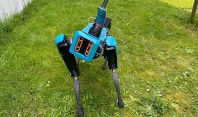 New robotic dogs can help farmers increase profits