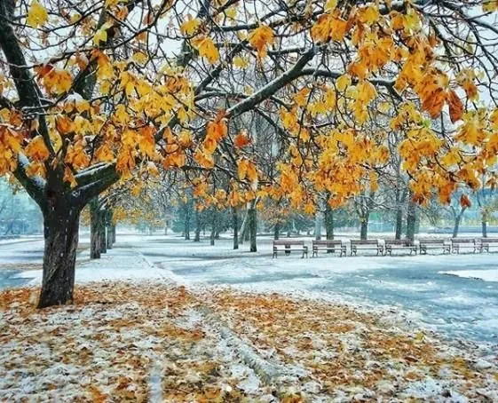 Weather in Ukraine on November 27: where there will be wet snow and sub-zero temperatures