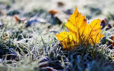 Warm and dry: weather forecast for the last day of autumn