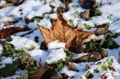 Weather in Ukraine: fog in the West and temperature swings from -3° to + 6°